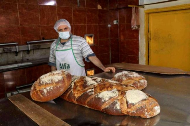 Balına ekmek ilgi gördü