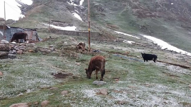 Yüksek kesimlere kar düştü