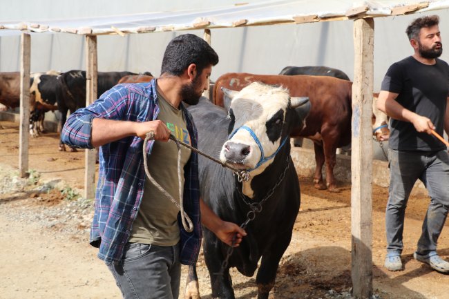 Kurban pazarı alıcıları bekliyor