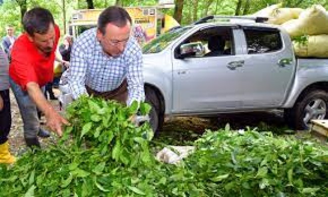 Peşin para hedef şaşırttı