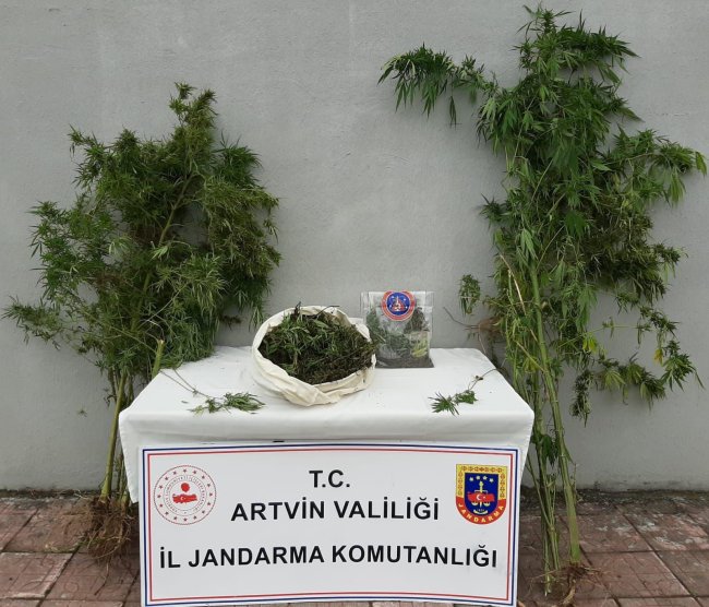 Artvin de uyuşturucu operasyonu