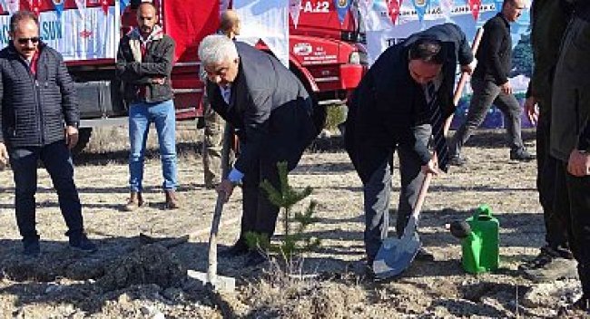 Yusufeli ilçesinde ağaçlandırma
