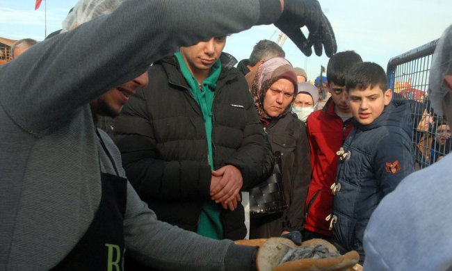 Sahili Hamsi Kokusu sardı