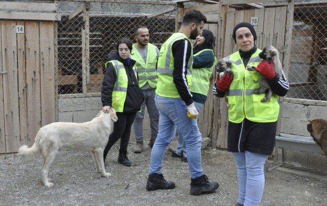 Sokak hayvanları için Gönüllüler seferber oldu