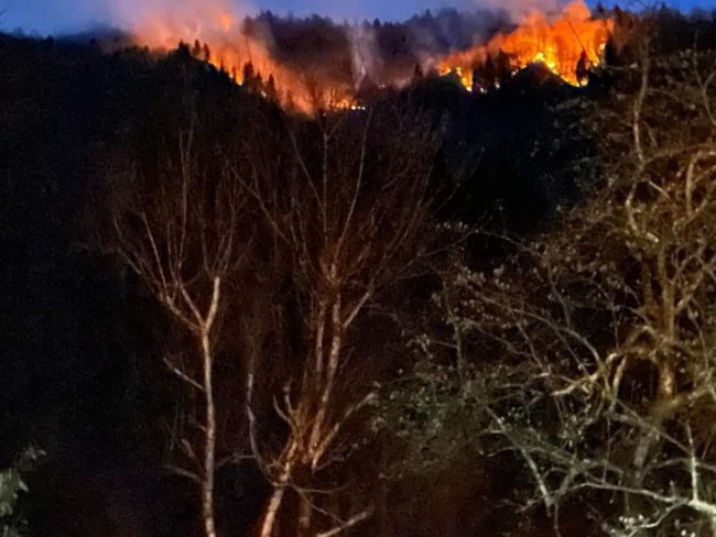 Hemşin'de Ormanlık Alanda Yangın Çıktı
