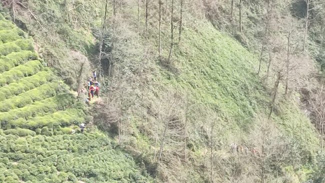 Rize’de ilkel teleferiğin ağaca çarpmasını sonucu 2 kişi ağır yaralandı