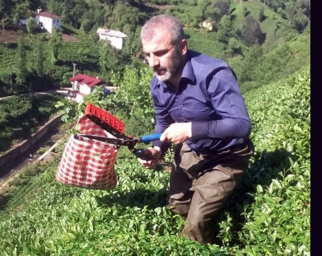 ÇAYIMIZI KAÇA VERİYORUZ”