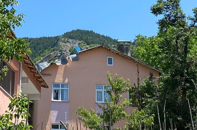 Kestiği ağacın altında kaldı