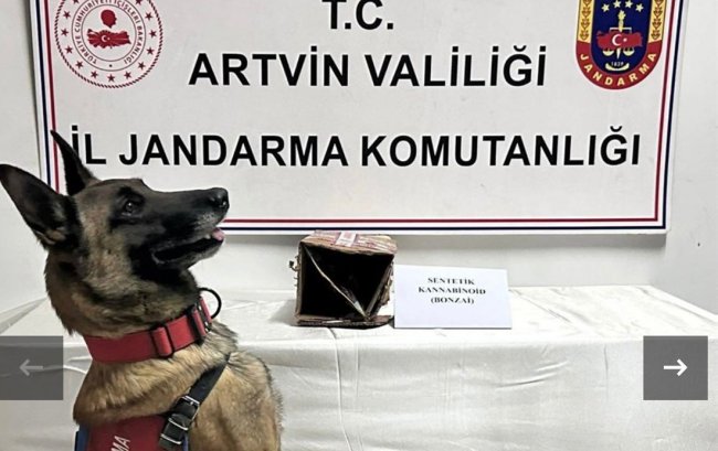 Artvin’de Uyuşturucu Operasyonu: 3 Kişi Tutuklandı