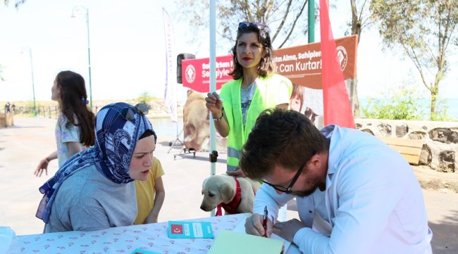 MİNİK CANLAR YENİ YUVALARINA KAVUŞTU