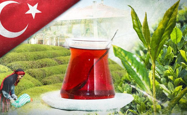 21 MAYIS ÇAY GÜNÜ HATIRLATILDI