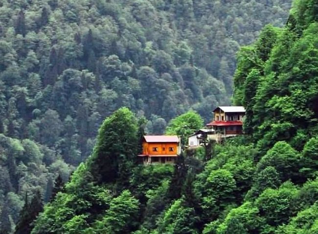 DOĞADA HUZUR VAR