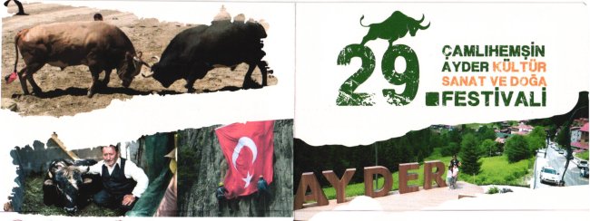 AYDER BOĞA GÜREŞLERİNE HAZIRLANIYOR