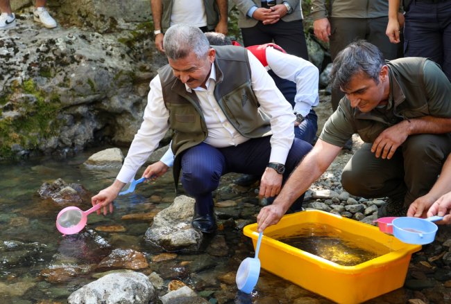 Artvin'de Hatila Vadisi 5 bin alabalık yavrusu bırakıldı