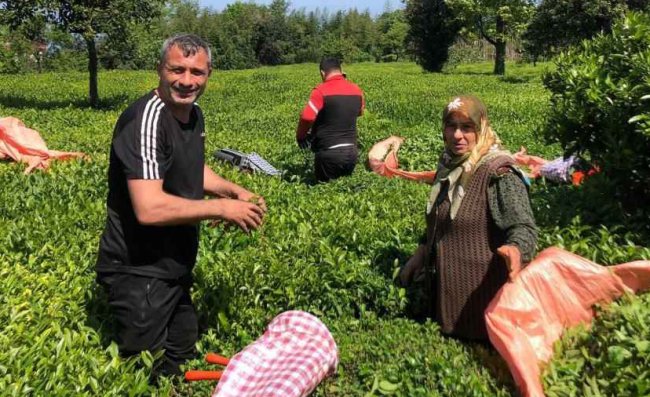 İKİNCİ SÜRGÜN ALIMLARI BAŞLADI