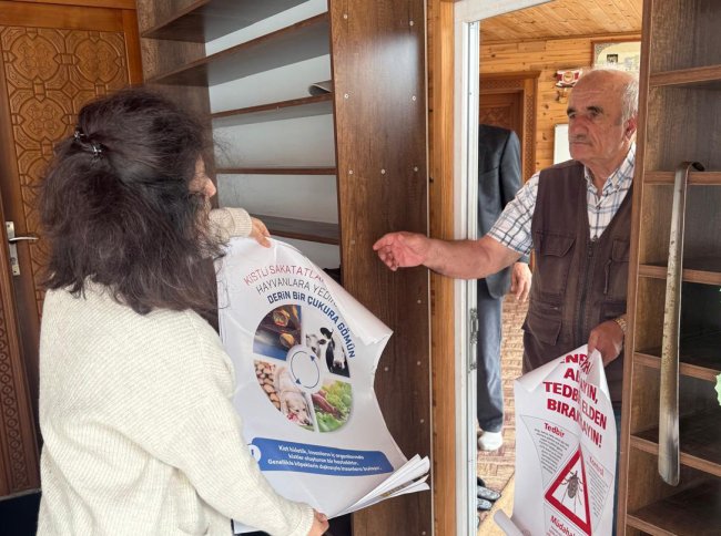 Rize’de Kene Tehlikesine Karşı Saha Çalışmaları Sürüyor