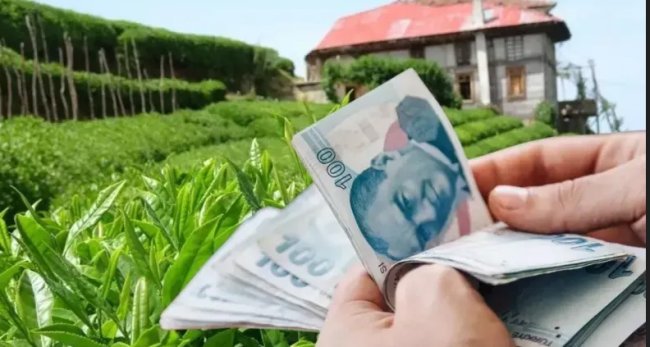 HAZİRAN BEDELLERİ CUMA GÜNÜ HESAPLARDA