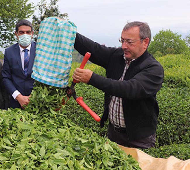 ÇAYKUR AYBAŞI RAHATLAMA BEKLİYOR