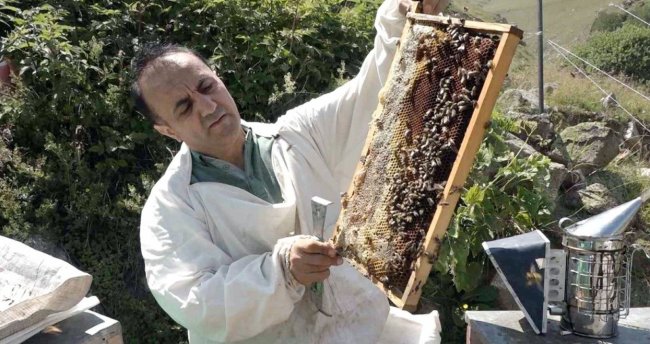 ANZER SON 50 YILIN REKORUNA ULAŞTI