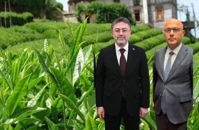Bakan Yumaklı Rizeli gazeteciye çay hasadı hakkında konuştu