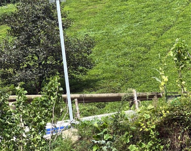 ELEKTRİK ÇARPMASI SONUCU YAŞAMINI YITIRDI