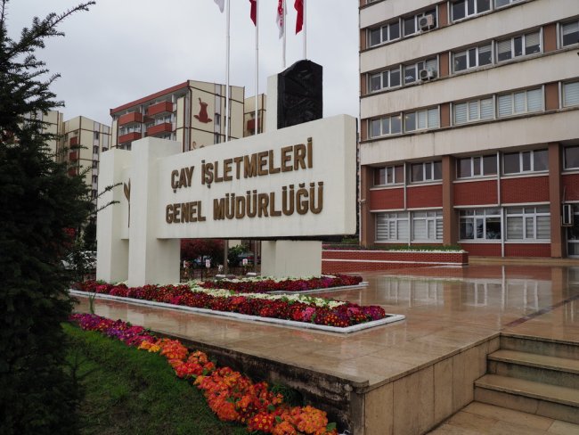 ÇAYKUR 1 HAFTADA 51 BİN TON ÇAY ALDI