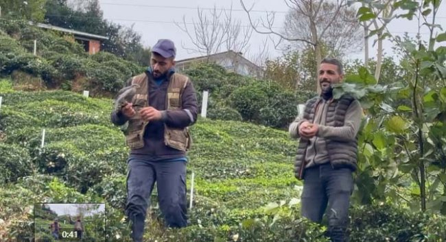 ATMACA ETKİNLİĞİ