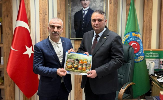 RİZE MANDALİNASI ALTERNATİF ÜRÜN