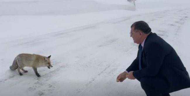 BELEDİYE BAŞKANININ TİLKİ İLE SOHBETİ