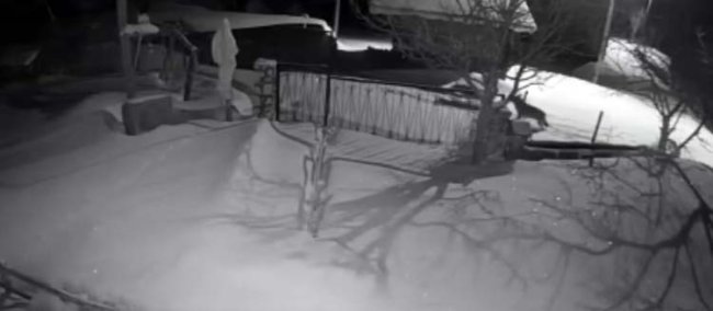 AÇ KALAN KURTLAR KÖYLERE İNDİ