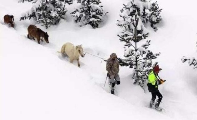 KARLA KAPLI DAĞLARDA UMUTLU BEKLEYİŞ