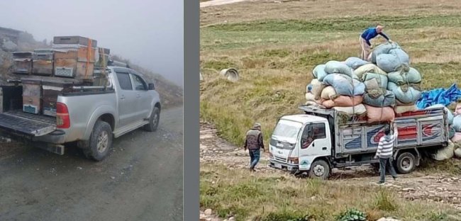 TABAN FİYAT RİZE’DE OLUMLU KARŞILANDI