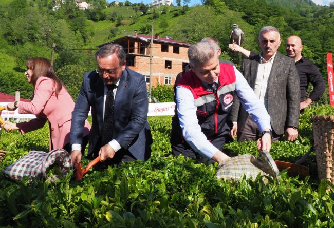 ÇAYKUR TÜM FABRİKALARDA ÜRETİCİYİ BEKLİYOR