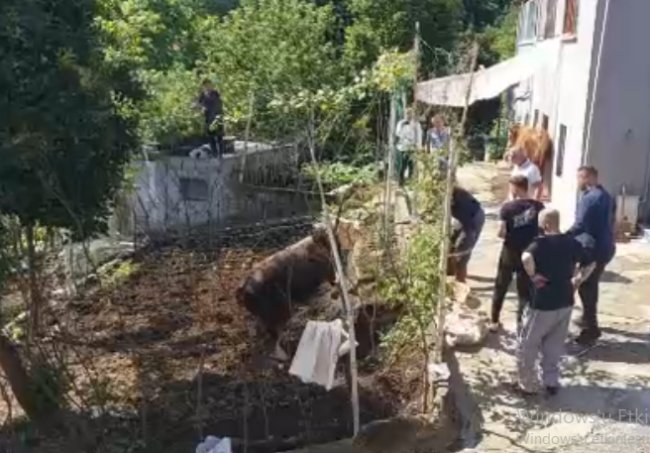 ACEMİ KASAPLAR HASTANELERE AKIN ETTİ