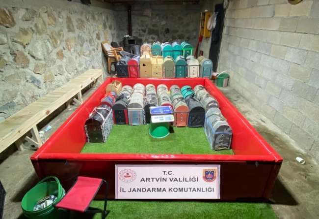 Artvin’de horoz dövüştürenlere 500 bin lira ceza